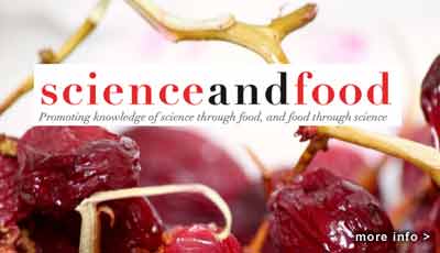 Science and Food lectures